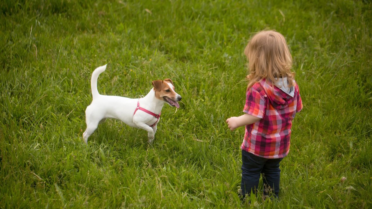 child with dog